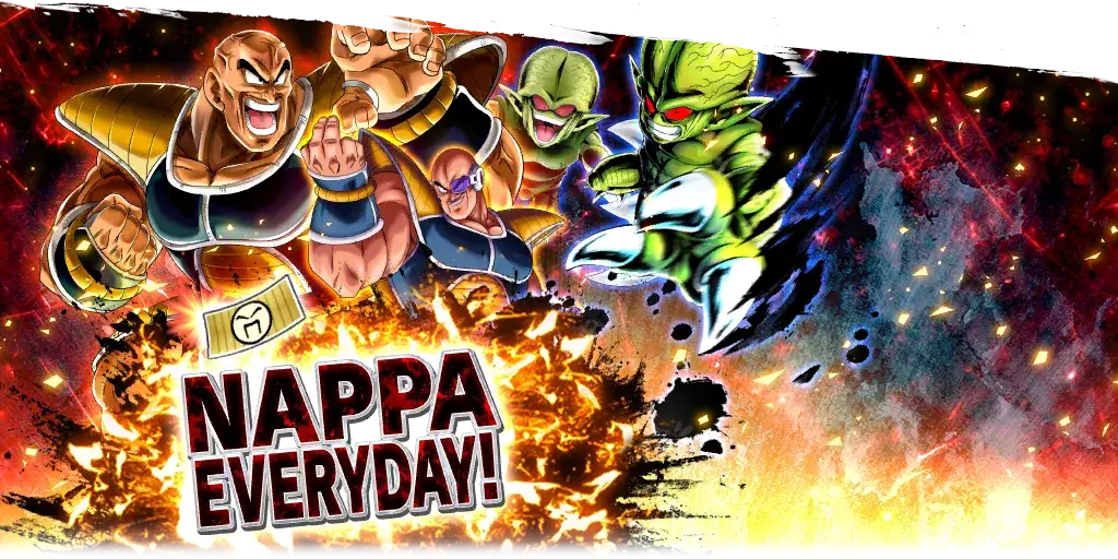 NAPPA EVERYDAY