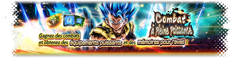 Combat à pleine puissance VS Gogeta Super Saiyan divin SS