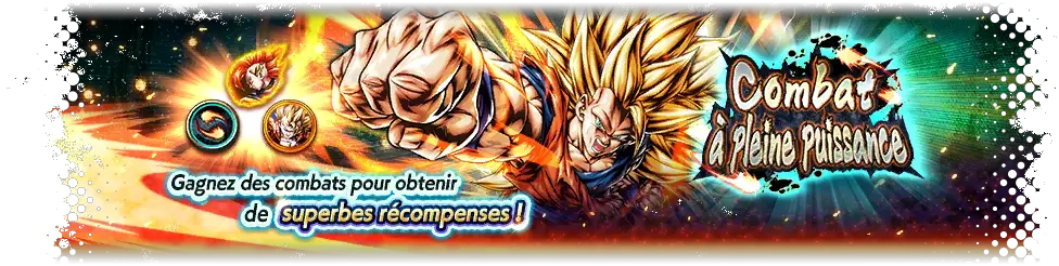 Combat à pleine puissance VS Son Goku Super Saiyan 3