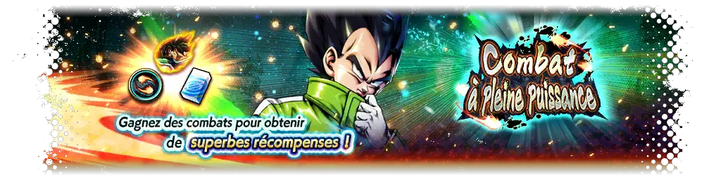 Combat à pleine puissance VS Vegeta